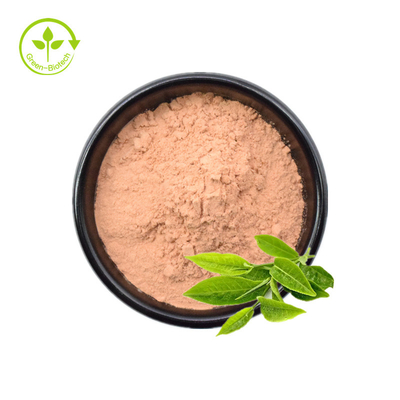 โรงงานจำนวนมากจัดหาสารสกัดจากชาเขียวบริสุทธิ์ Epicatechin Powder 98% Egcg Tea Polyphenol Green Tea Extract