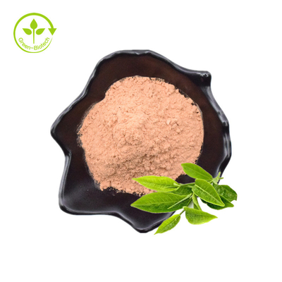 ชาโพลีฟีนอล, EGCG, ผงสารสกัดจากชาเขียว