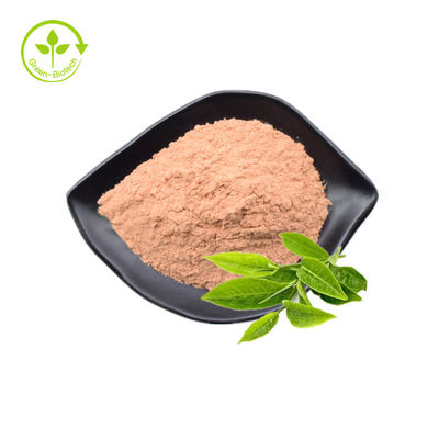 สารสกัดจากใบชาเขียวเกรดอาหารโพลีฟีนอล 98% Catechin 80% Egcg 60% Bulk Powder