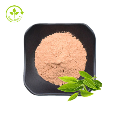 ผงสารสกัดจากชาเขียว / โพลีฟีนอล EGCG Catechins