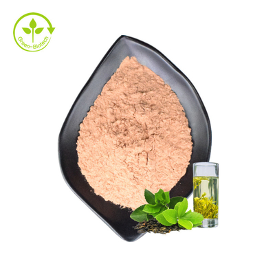 ช่วยลดน้ำหนักอาหารที่ละลายน้ำได้เกรด China Instant Green Tea Extract Powder ผงชาเขียวธรรมชาติ