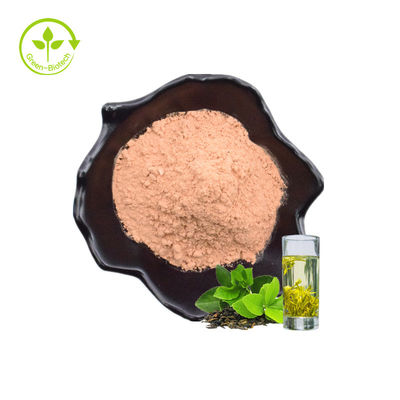 โรงงานขายส่งใบพืชเพื่อสุขภาพ 60% คุณภาพสูงธรรมชาติใบชาเขียวสารสกัดจากผงสำเร็จรูป