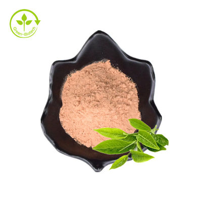 ลดไขมันในเลือด Green Tea Extract 40% Tea Polyphenols Powder