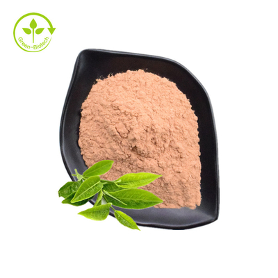 ชาโพลีฟีนอล, EGCG, ผงสารสกัดจากชาเขียว