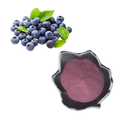 100% Pure Concentrate Freeze Dried Fruit Fresh Blueberry Juice Powder Blueberry Extract Bulk Blueberry Powder