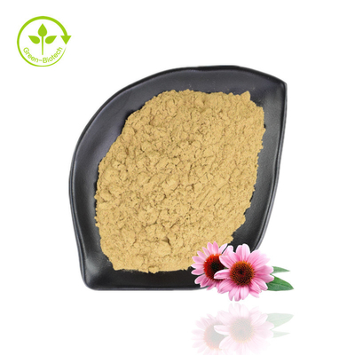 ขาย Echinacea Purpurea Extract 4% -6% Polyphenol 2% -4% Natural Echinacea Powder