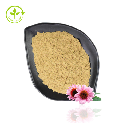 ขาย Echinacea Purpurea Extract 4% -6% Polyphenol 2% -4% Natural Echinacea Powder