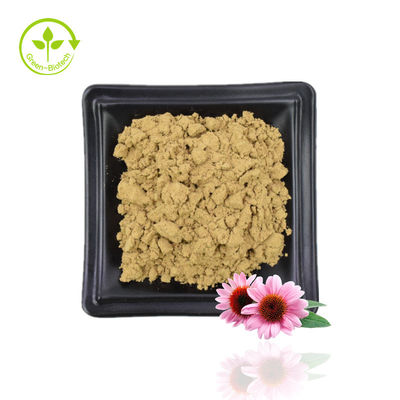 จัดหา Echinacea Purpurea Extract Echinacea Extract ธรรมชาติ Echinacea Purpurea Flower Extract 4% โพลีฟีนอล