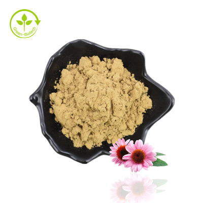ผู้ผลิตดั้งเดิมจัดหาสารสกัดจากราก Echinacea Purpurea เกรดอาหารคุณภาพดี