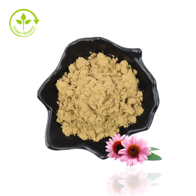 ผลิต จัดหา Echinacea Purpurea Chicoric Acid Echinacea Extract
