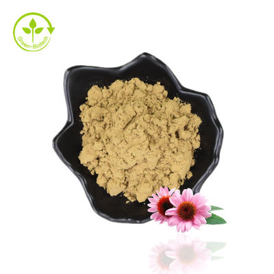 โพลีฟีนอล 4% Echinacea Purpurea Extract Powder Purple Coneflower Extract