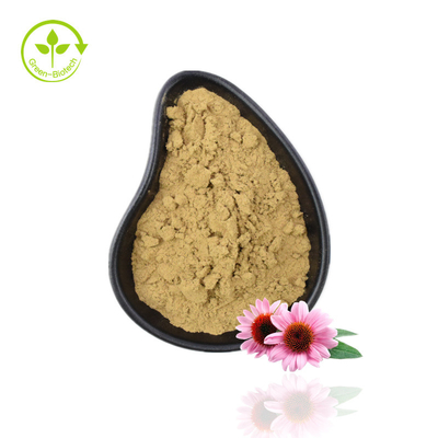 โรงงานจัดหา Echinacea Powder Echinacea Purpurea Extract Echinacea Extract ที่มีคุณภาพสูง