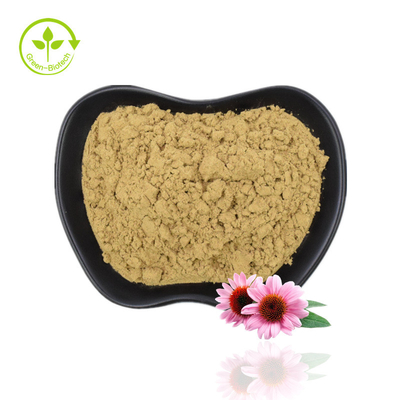 โรงงานจัดหา Echinacea Powder Echinacea Purpurea Extract Echinacea Extract ที่มีคุณภาพสูง