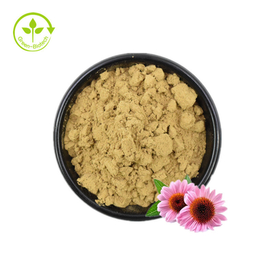 สารสกัด Echinacea / สารสกัด Echinacea Purpurea ในกลุ่ม / สารสกัด Echinacea 4% โพลีฟีนอล