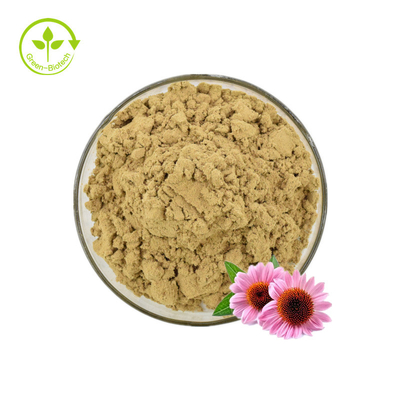 สารสกัด Echinacea / สารสกัด Echinacea Purpurea ในกลุ่ม / สารสกัด Echinacea 4% โพลีฟีนอล