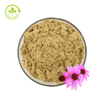 ใบรับรอง ISO สารสกัดจาก Echinacea ธรรมชาติ 100% Echinacea Purpurea Extract 10% Polyphenol
