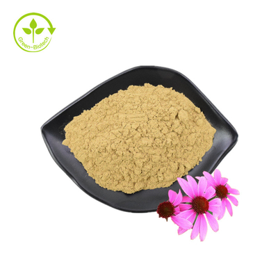 โรงงานจัดหาสารสกัดจาก Echinacea Purpurea คุณภาพสูง Echinacea Extract