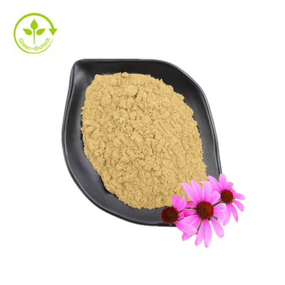 จัดหาสารสกัด Echinacea Purpurea เกรดดีอาหารเสริมเพื่อสุขภาพ Echinacea Purpurea Extract