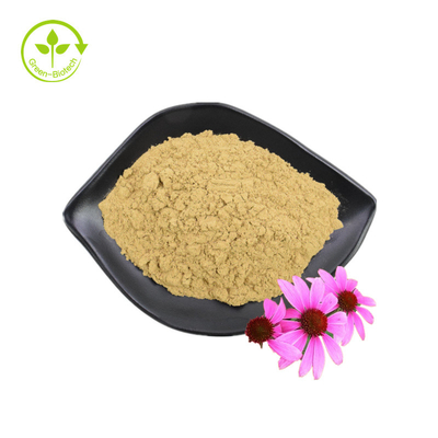 อุปทานขายส่ง 3% กรดชิโคริก Echinacea Purpurea สารสกัดจากดอกไม้ Echinacea Purpurea Extract