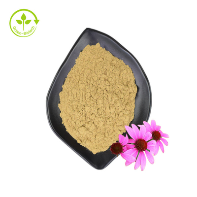อุปทานขายส่ง 3% กรดชิโคริก Echinacea Purpurea สารสกัดจากดอกไม้ Echinacea Purpurea Extract