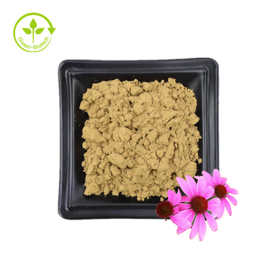 สารสกัดจาก Echinacea Purpurea 4% โพลีฟีนอล 2% กรดชิโคริก