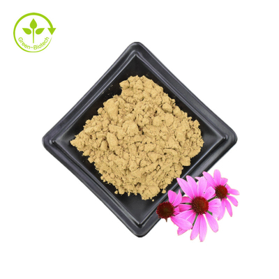 สารสกัดจาก Echinacea Purpurea 4% โพลีฟีนอล 2% กรดชิโคริก