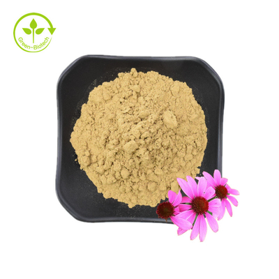 สารสกัดจากราก Echinacea Purpurea คุณภาพสูง 10% โพลีฟีนอล Echinacea Purpurea Extract สารสกัดจาก Echinacea