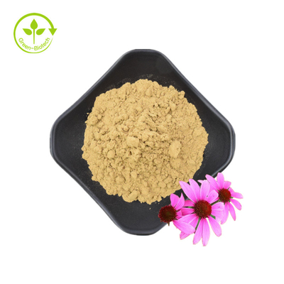 สารสกัดจากราก Echinacea Purpurea คุณภาพสูง 10% โพลีฟีนอล Echinacea Purpurea Extract สารสกัดจาก Echinacea