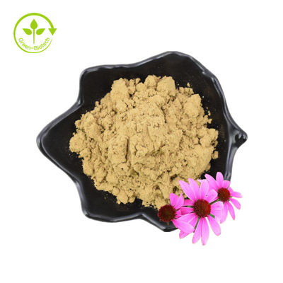 บริสุทธิ์ 4% กรดชิโคริก Echinacea Purpurea Flower Extract Powder Echinacea Purpurea Extract