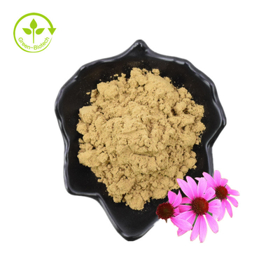 บริสุทธิ์ 4% กรดชิโคริก Echinacea Purpurea Flower Extract Powder Echinacea Purpurea Extract