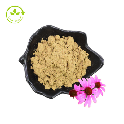 เมล็ดดอกไม้แห้งผงโพลีฟีนอลอินทรีย์ Echinacea Purpurea Extract