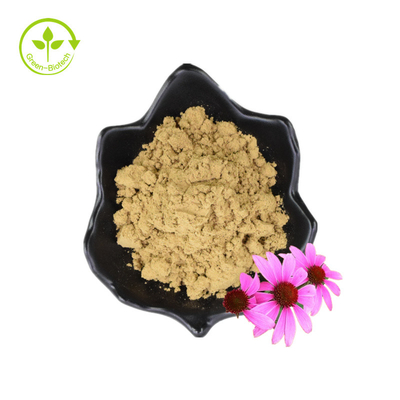 เมล็ดดอกไม้แห้งผงโพลีฟีนอลอินทรีย์ Echinacea Purpurea Extract