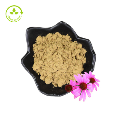 สารสกัดจากราก Echinacea Purpurea สารสกัดจาก Echinacea Angustifolia