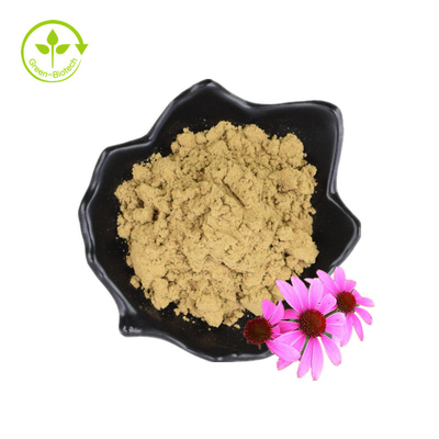 สารสกัดจากราก Echinacea Purpurea สารสกัดจาก Echinacea Angustifolia