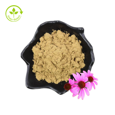 Echinacea Purpurea สารสกัด Echinacea สารสกัด 4% ไชคอริกแอซิด