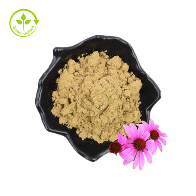 Echinacea Purpurea สารสกัด Echinacea สารสกัด 4% ไชคอริกแอซิด