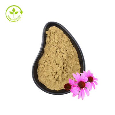 สารสกัดจากอินทรีย์ Echinacea Purpurea สารสกัดจากราก Echinacea