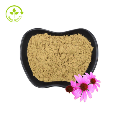สารสกัดจากอินทรีย์ Echinacea Purpurea สารสกัดจากราก Echinacea