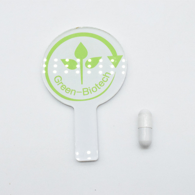 รีสเวอราโทรลบริสุทธิ์ นิโคตินามิด โมโนนิวเคลียตได บูสเตอร์ อาหารเสริม Nad Capsules
