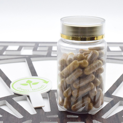 จําหน่ายโรงงาน Ginseng Root Powder Panax Ginseng Extract 20:1 Ginsenoside 80%