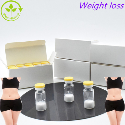 ราคาต่ําสุด ความบริสุทธิ์สูง 98%  Semaglutide สําหรับการสร้างร่างกาย