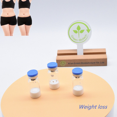 เบลล์ส่วนตัว CAS 910463-68-2  Semaglutide 10mg/Vails ในคลัง