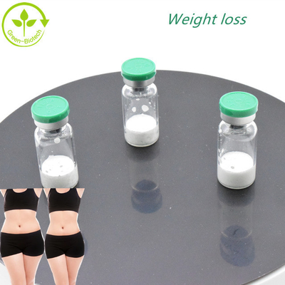 โฮมอนการเติบโตความบริสุทธิ์สูง 98%  Semaglutide