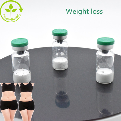 การสร้างร่างกาย ความบริสุทธิ์ 98% สีขาว  Semaglutide คุณภาพสูง ส่งฟรี