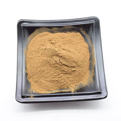 สินค้าอาหาร สีเหลือง สีน้ําตาล ตัวอย่างฟรี Dendrobium Extract Powder