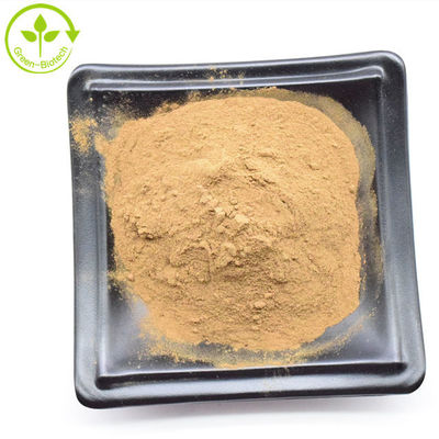 ขายส่งปลีก สีเหลือง ผึ้ง Dendrobium Extract Orchid Root Powder ที่แห้ง