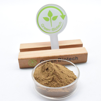 ขายปลีก Dendrobium Extract Powder 10:1 คุณภาพสูง