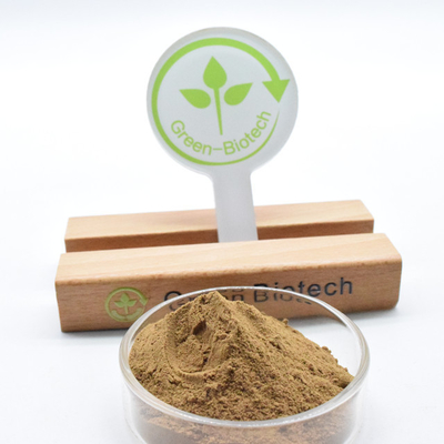 Dendrobium Extract ยาดิบ วัสดุแท้ Dendrobium Officinale Extract Powder
