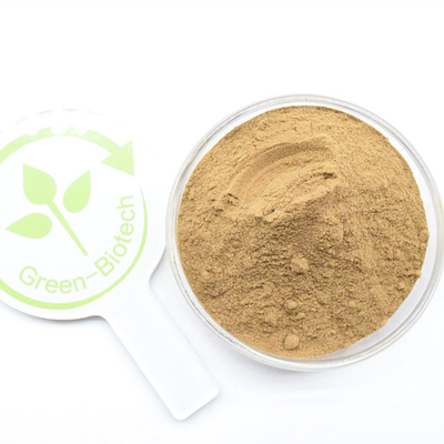 ขายร้อน 10:1 สารอากร Dendrobium Officinale Extract Powder