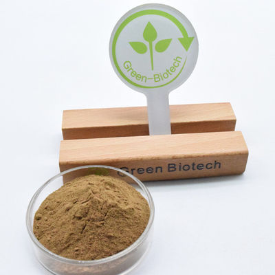 ราคาดีที่สุด คุณภาพดี ฟรีตัวอย่าง Dendrobium Stem Extract Powder ในขาย